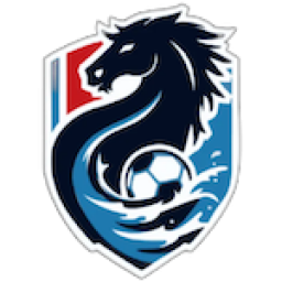 淮安队logo